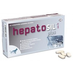 HEPATOSIL PLUS 60 COMP